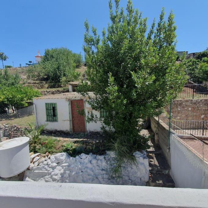 Casa Haarlemena Villa Monda Buitenkant foto